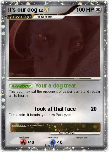 Pokemon It's our dog