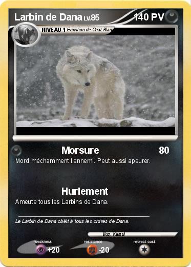 Pokemon Larbin de Dana