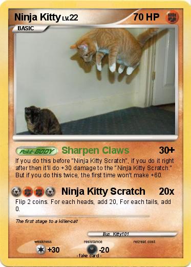 Pokemon Ninja Kitty
