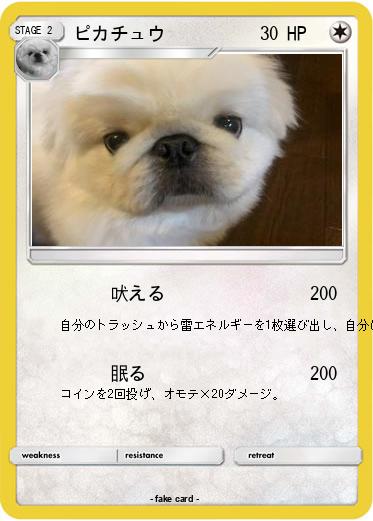 Pokemon ピカチュウ