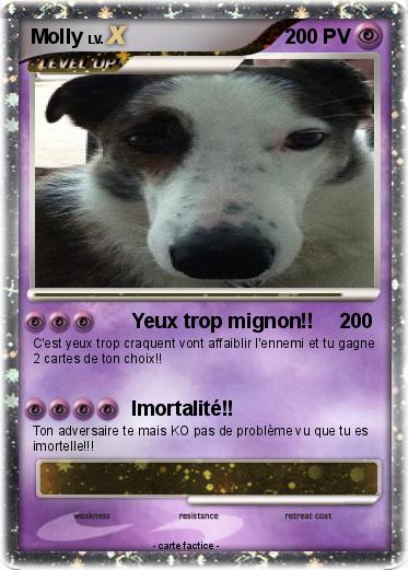 Pokemon Molly