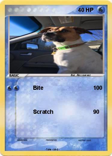 Pokemon 