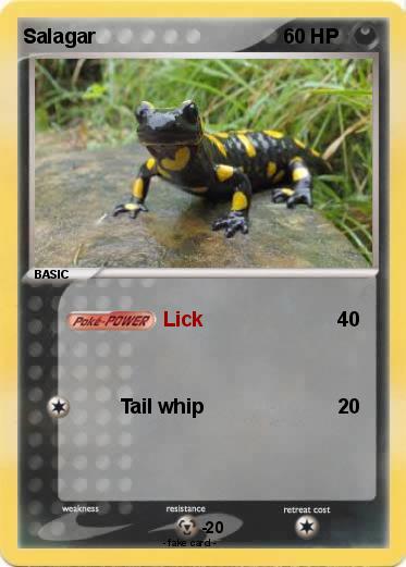 Pokemon Salagar