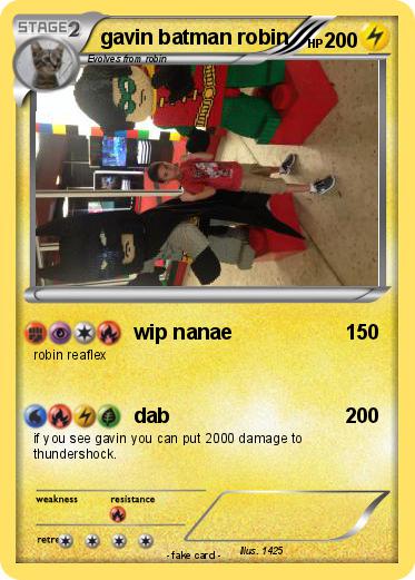 Pokemon gavin batman robin