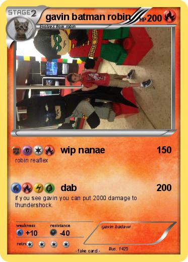 Pokemon gavin batman robin