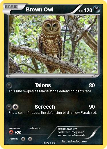 Pokemon Brown Owl