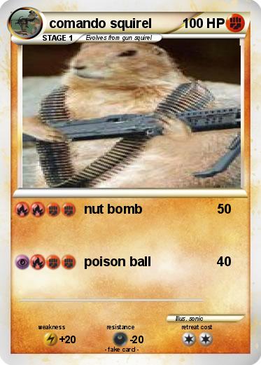 Pokemon comando squirel