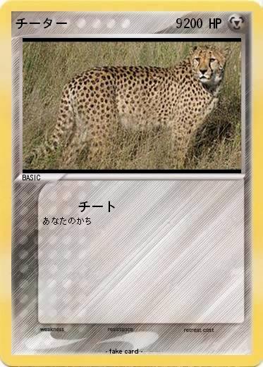 Pokemon チーター　　　　　　　　9