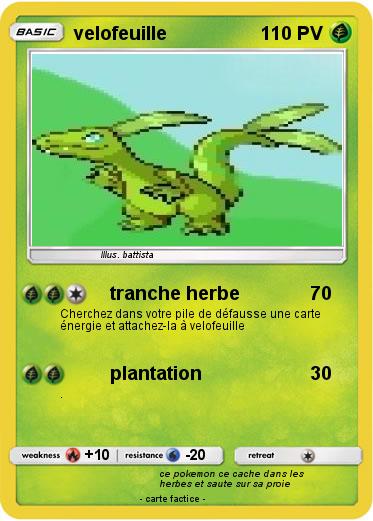 Pokemon velofeuille