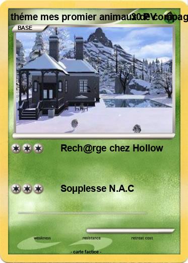 Pokemon théme mes promier animaux de compagnie