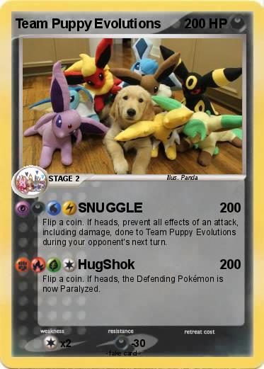 Pokemon Team Puppy Evolutions