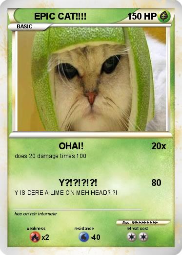 Pokemon EPIC CAT!!!!