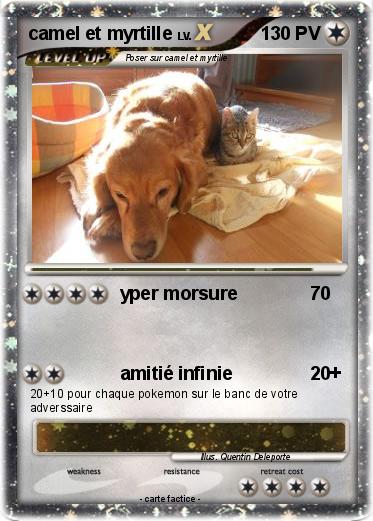 Pokemon camel et myrtille