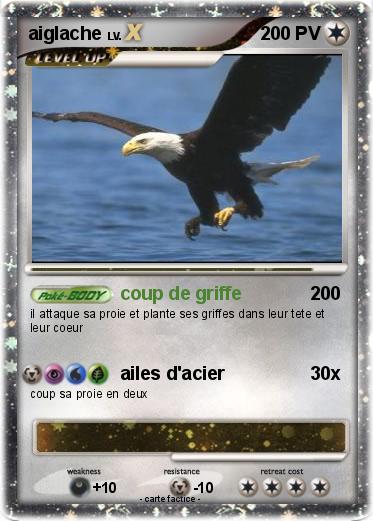 Pokemon aiglache