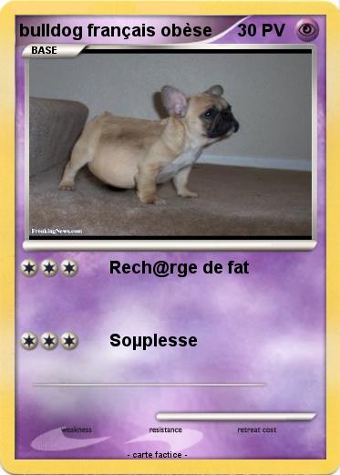 Pokemon bulldog français obèse