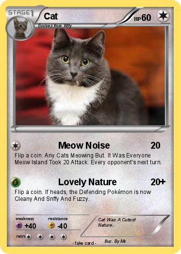 Pokemon Cat