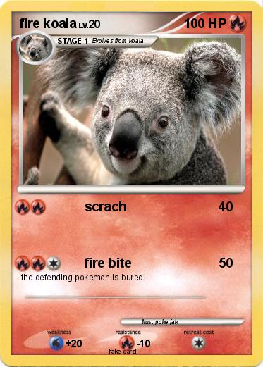 Pokemon fire koala