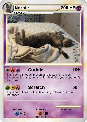 Pokemon Nornie