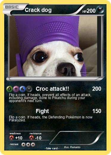 Pokemon Crack dog
