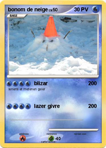 Pokemon bonom de neige