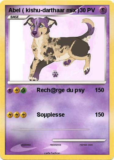 Pokemon Abel ( kishu-darthaar mix )