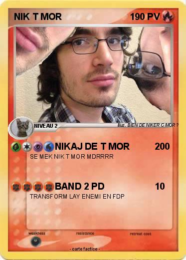 Pokemon NIK T MOR