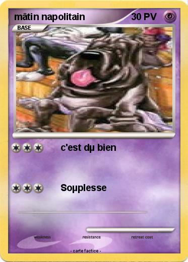 Pokemon mâtin napolitain
