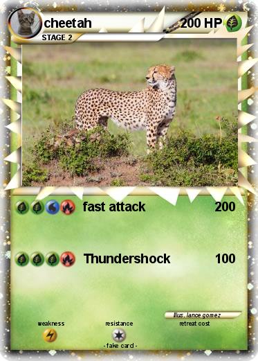 Pokemon cheetah