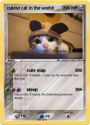 Pokemon cutest cat in the world