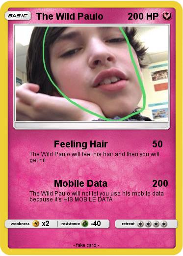 Pokemon The Wild Paulo