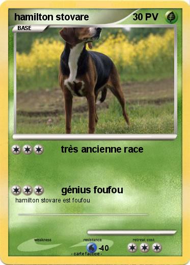 Pokemon hamilton stovare