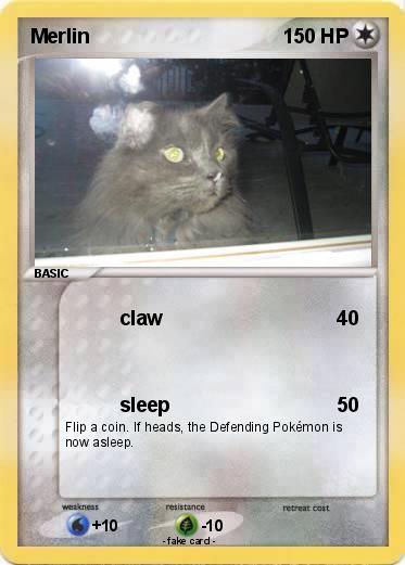 Pokemon Merlin