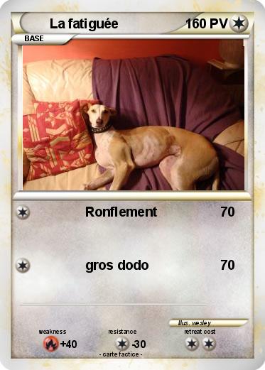 Pokemon La fatiguée