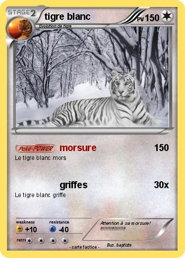 Pokemon tigre blanc