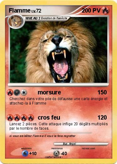 Pokemon Flamme