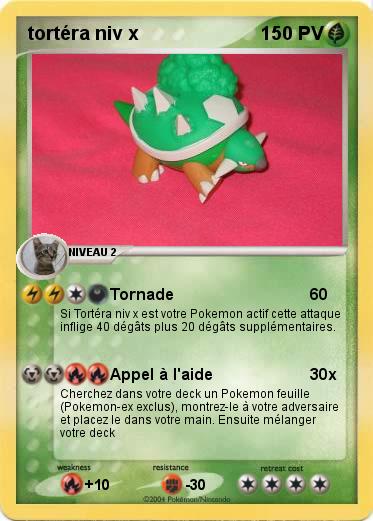 Pokemon tortéra niv x