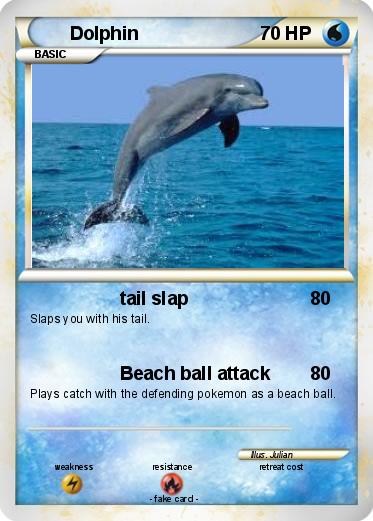 Pokemon Dolphin