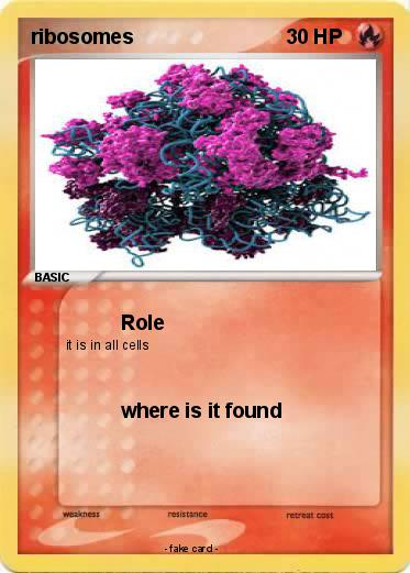Pokemon ribosomes