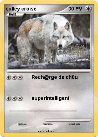 Pokemon colley croisé