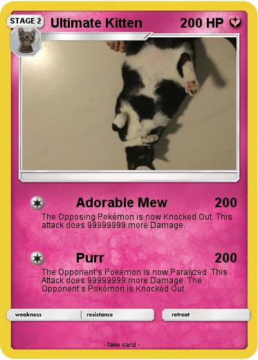 Pokemon Ultimate Kitten