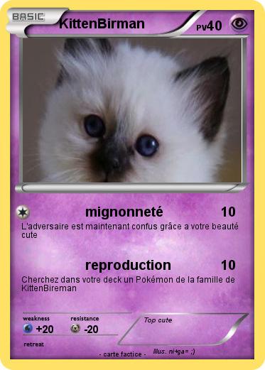 Pokemon KittenBirman