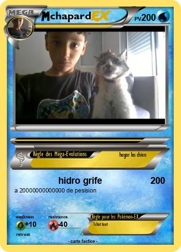 Pokemon chapard
