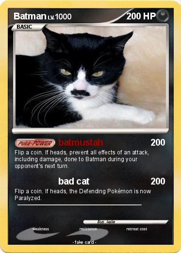 Pokemon Batman