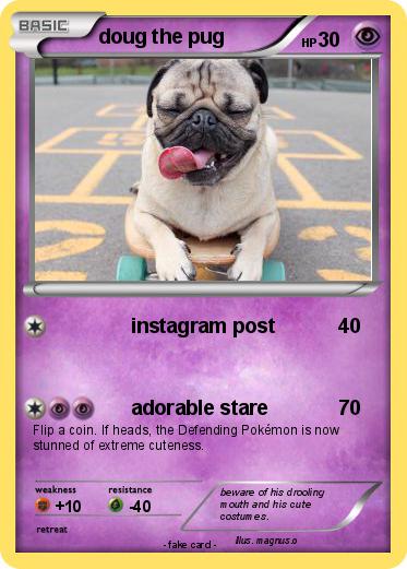 Pokemon doug the pug