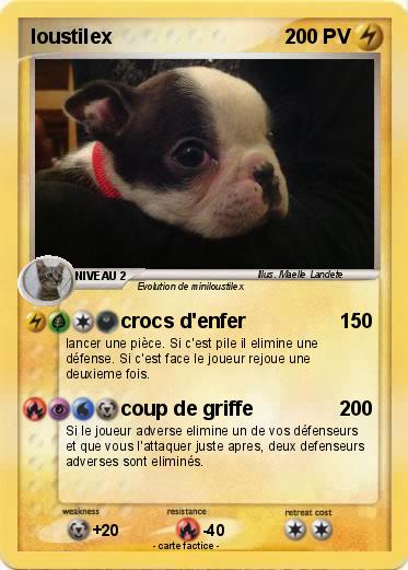 Pokemon loustilex