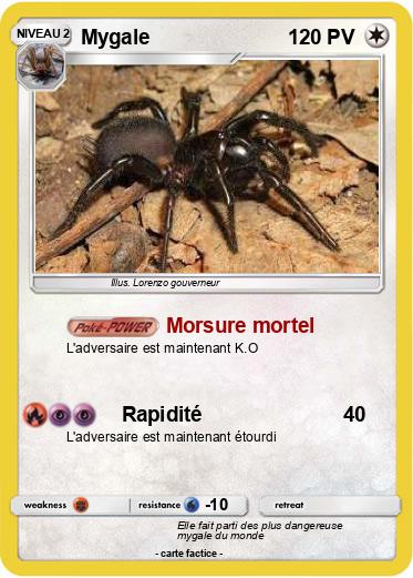 Pokemon Mygale