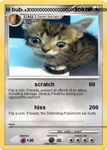 Pokemon lil bub
