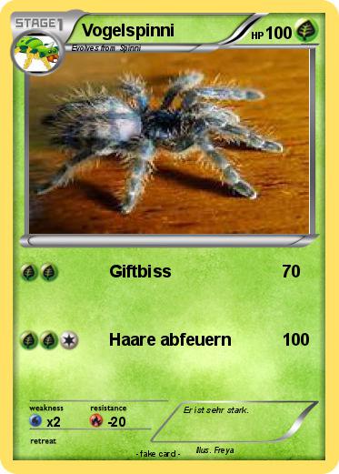 Pokemon Vogelspinni