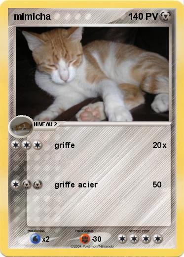 Pokemon mimicha