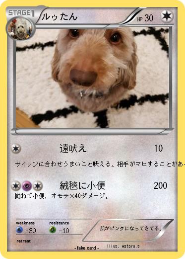 Pokemon ルゥたん